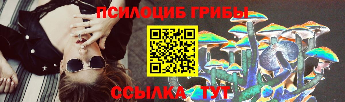 Кинель  Галлюциногенные грибы GOLDEN TEACHER  Псилоцибиновые грибы прущие грибы  Вход с VPN 